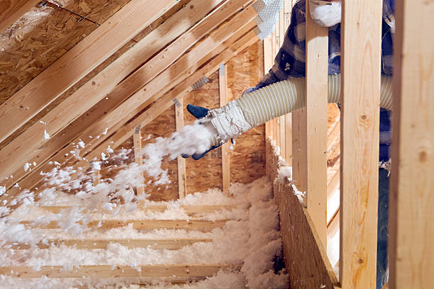 Best Basement Insulation  in Manhattan, MT